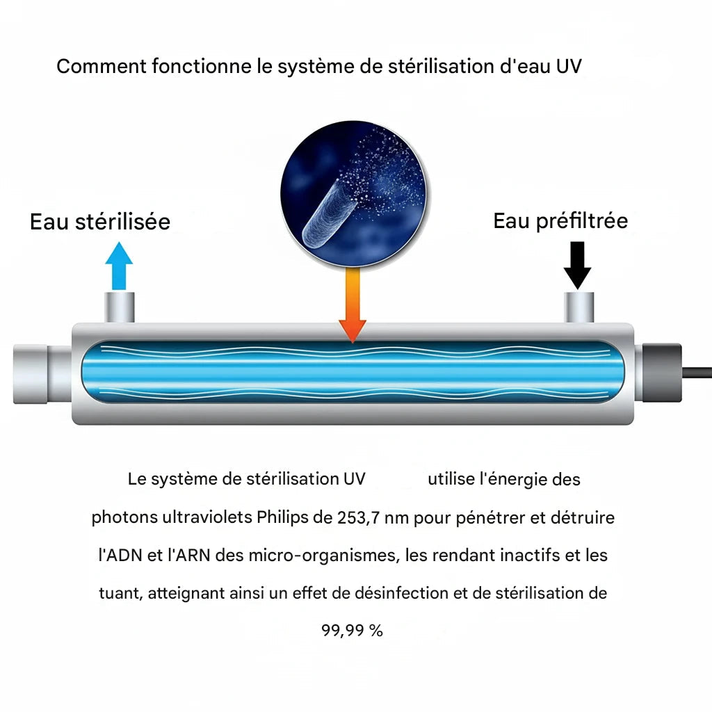 UV ProClean | Stérilisateur d’Eau Inox 11W – Désinfection 99,99 % sans Produits Chimiques
